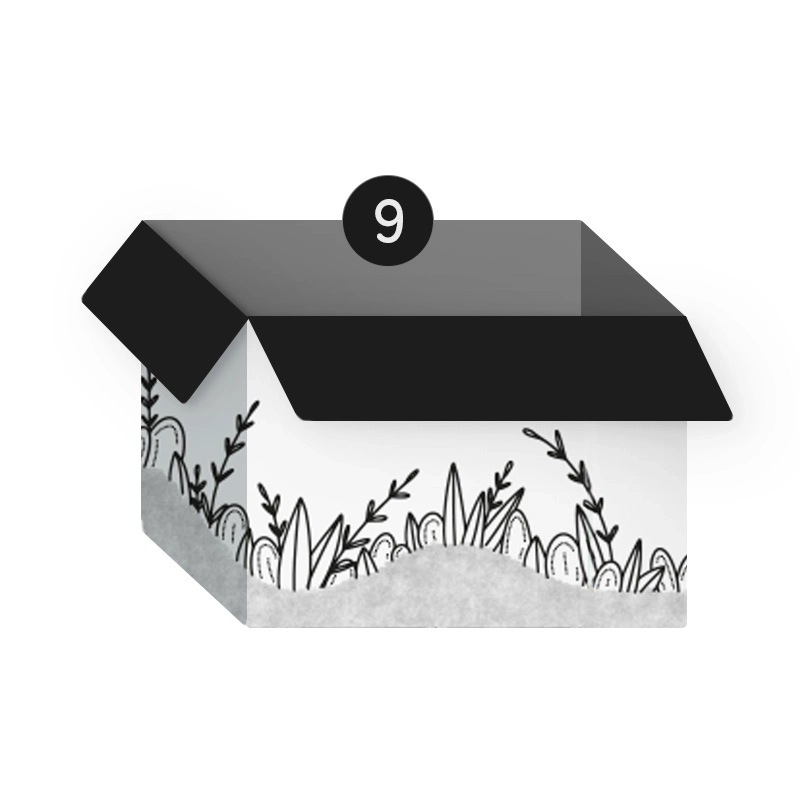 SB Collection bietet dem Fachhandel innovative feste Conditioner